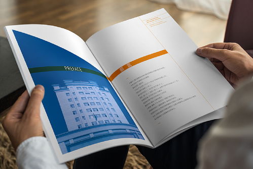 “稅韻丹心 文明花開”——長春市二道區國家稅務局精神文明建設成果巡禮畫冊策劃與設計，兼談其官方網站建設的協同增效