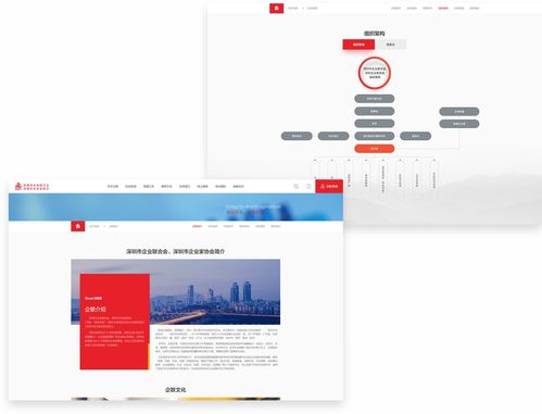 深圳企業聯合會攜手沙漠風網站建設公司，打造長春企業數字化轉型標桿