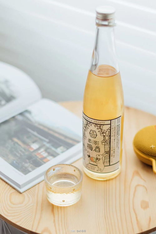 微醺時刻，甜入心扉 少女心高顏值小甜酒居家指南